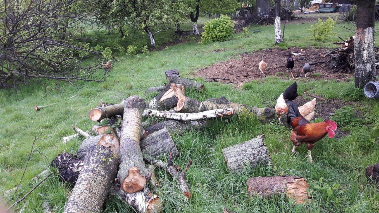 Agroturystyka Brygadziaki Charbielin 외부 사진